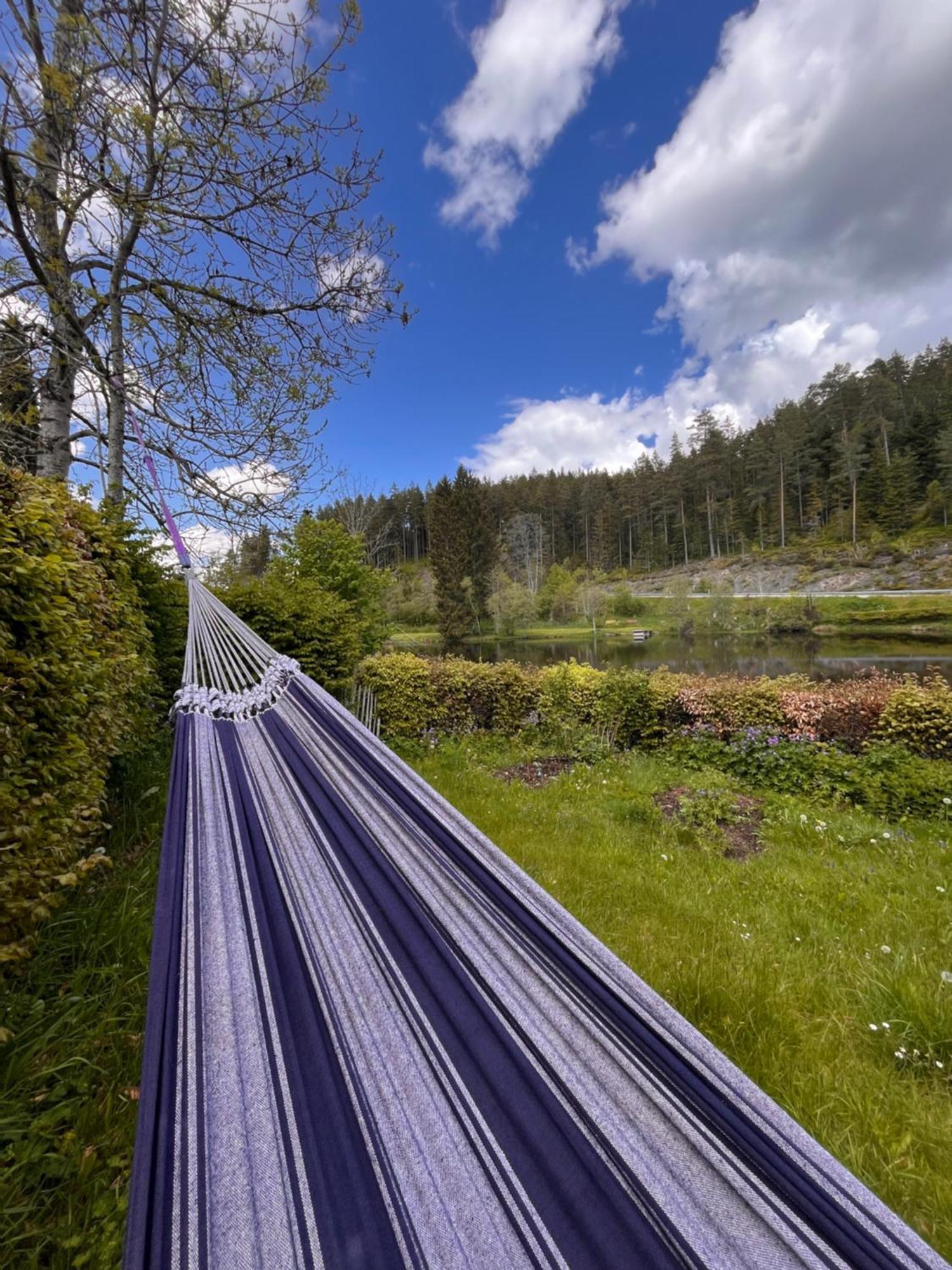 Haus Am See - Natur Pur Friedenweiler Zewnętrze zdjęcie
