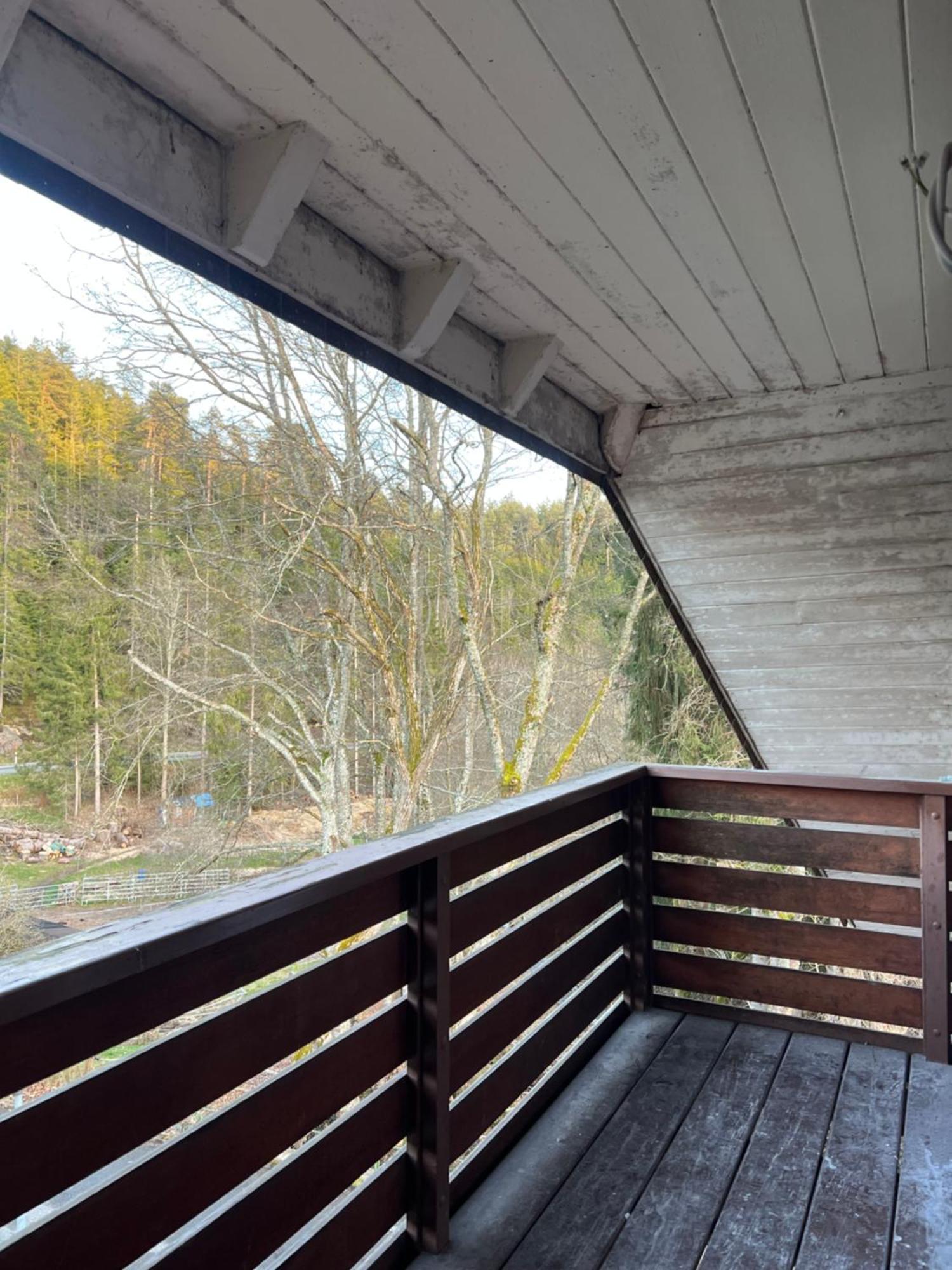 Haus Am See - Natur Pur Friedenweiler Zewnętrze zdjęcie