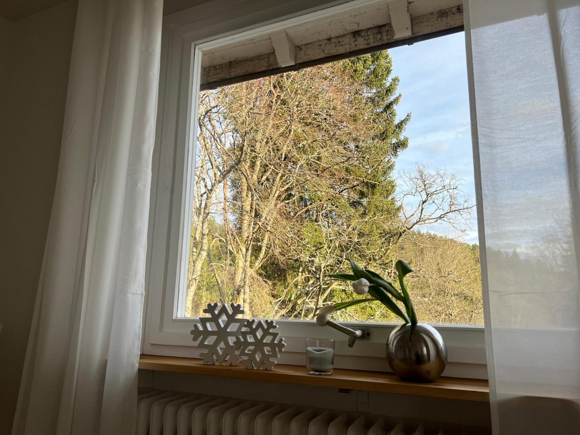 Haus Am See - Natur Pur Friedenweiler Zewnętrze zdjęcie
