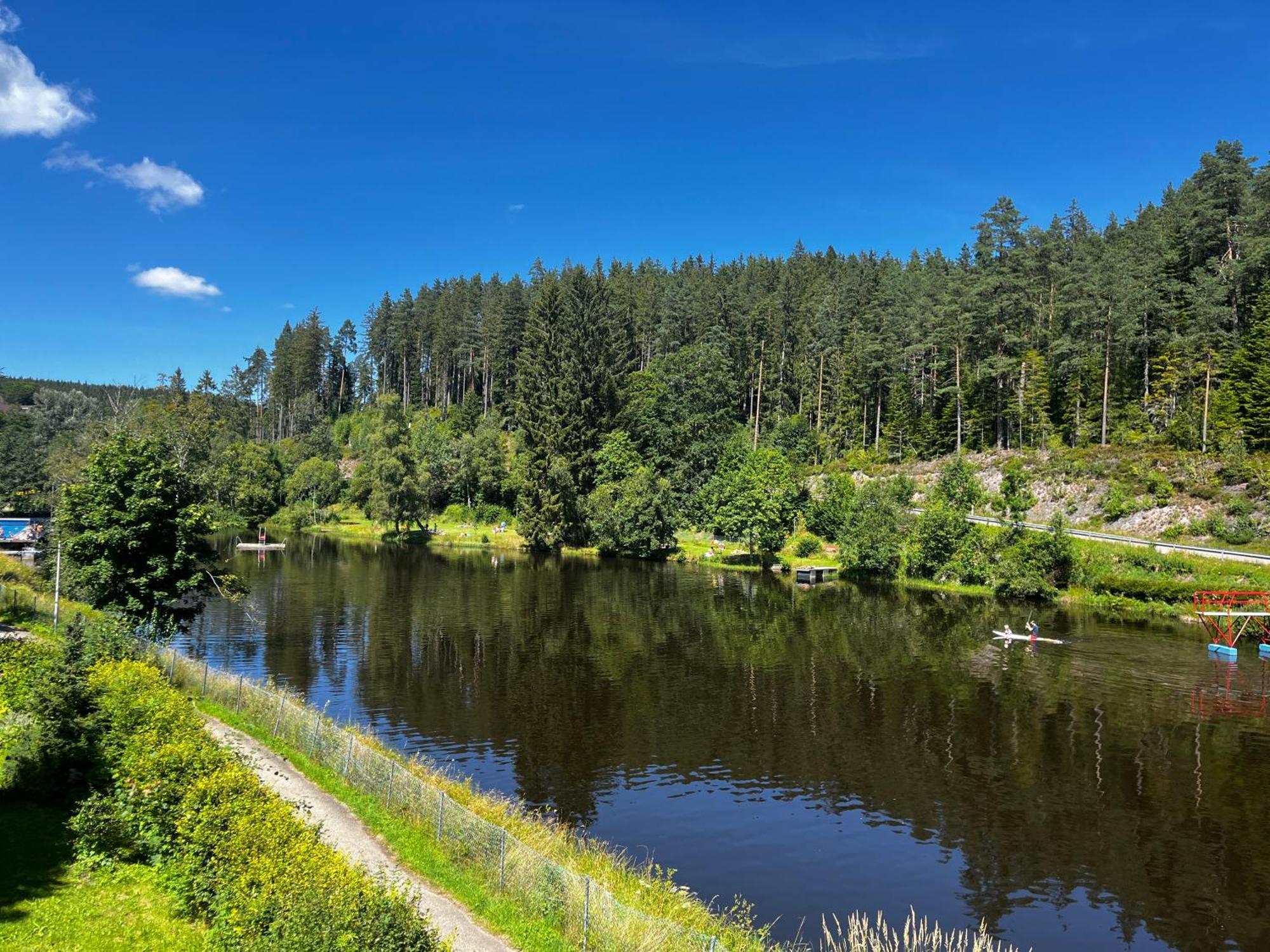 Haus Am See - Natur Pur Friedenweiler Zewnętrze zdjęcie