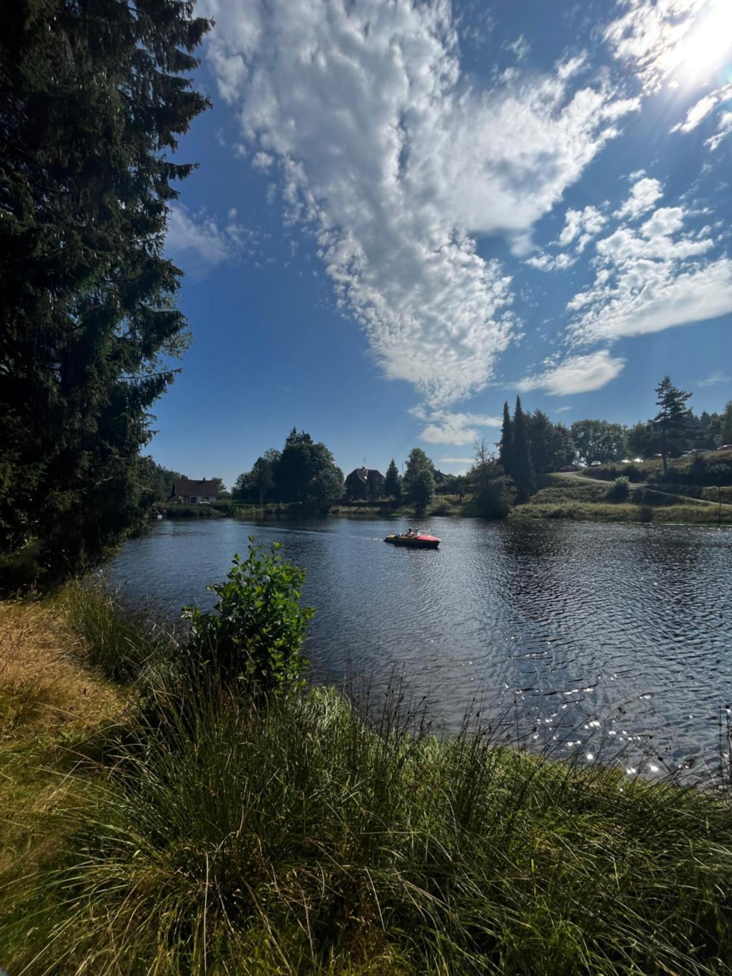 Haus Am See - Natur Pur Friedenweiler Zewnętrze zdjęcie