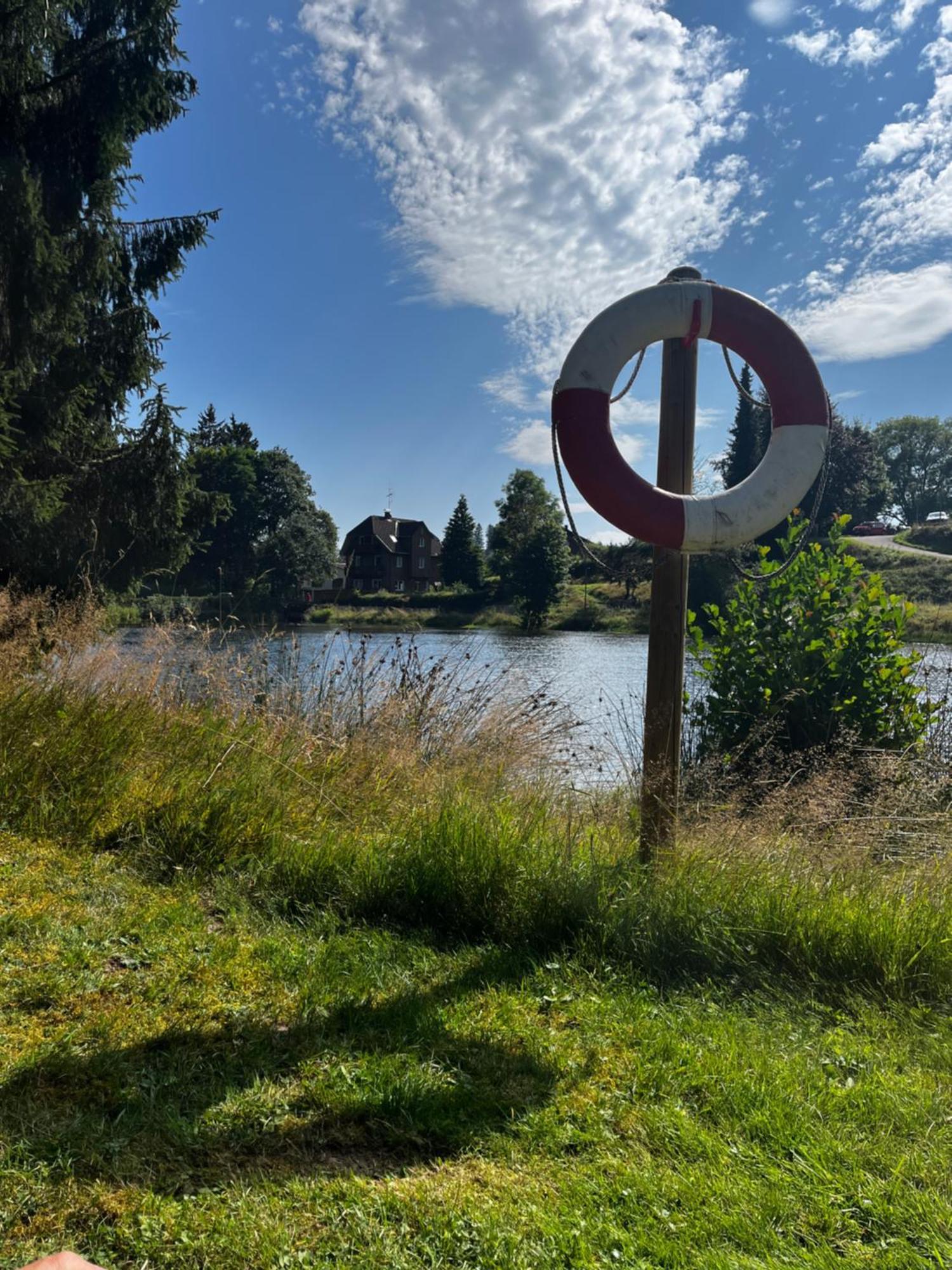 Haus Am See - Natur Pur Friedenweiler Zewnętrze zdjęcie