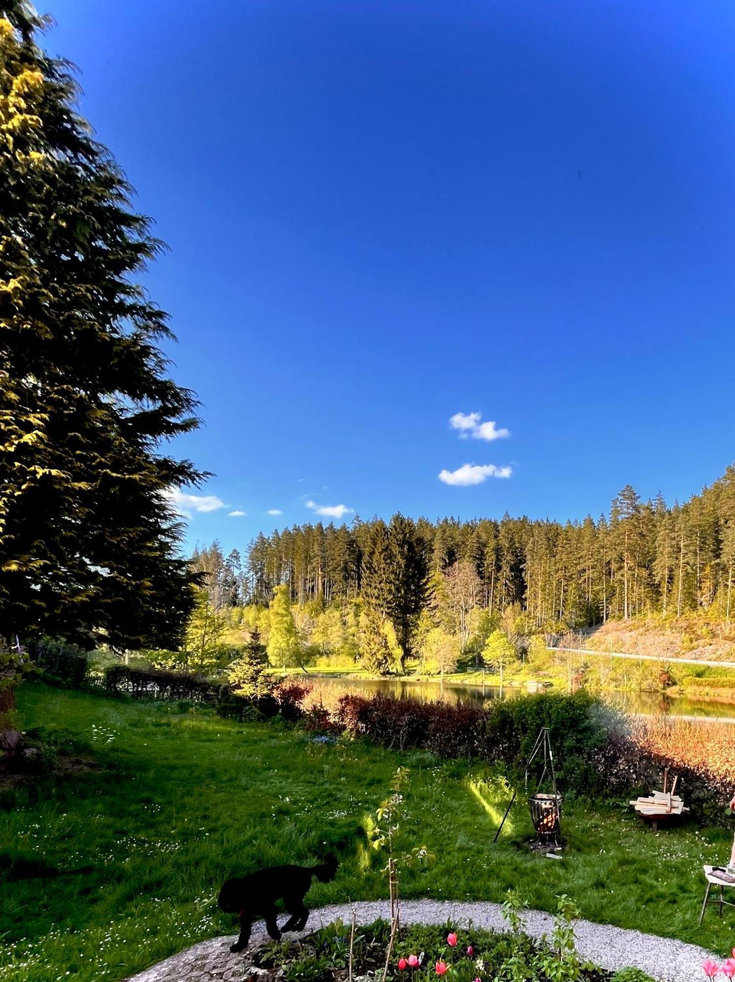 Haus Am See - Natur Pur Friedenweiler Zewnętrze zdjęcie